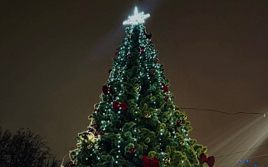 Рязанский Лесопарк готовится к Новому году