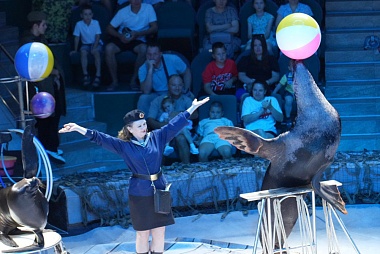 Рязанский цирк представил спектакль "Парад Великой Победы"