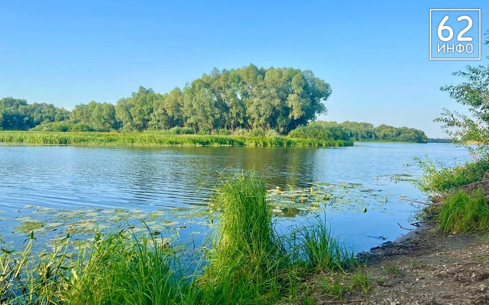 От Оки до Пры: эксперты оценили уровень загрязнения 9 рязанских рек - 62ИНФО