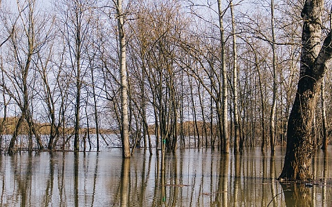 Уровень воды в Оке у Рязани превысил 4 метра выше нулевой отметки