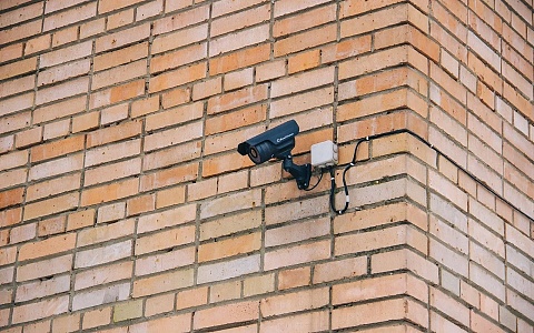 Предотвратили 100 преступлений: Юлия Швакова рассказала об использовании ИИ 