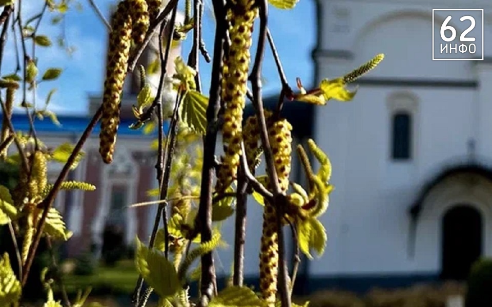 Врачи напугали рязанских аллергиков страшным годом - 62ИНФО