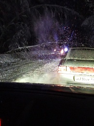 В Касимовском округе деревья блокируют дороги