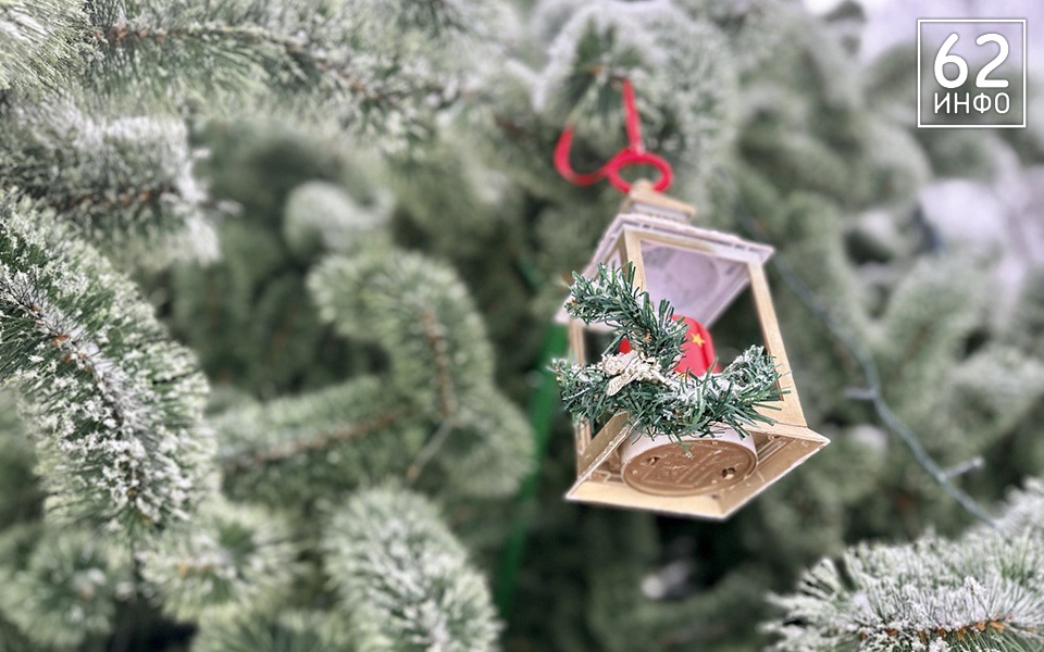 В Рязанской области усиливается контроль лесного законодательства - 62ИНФО