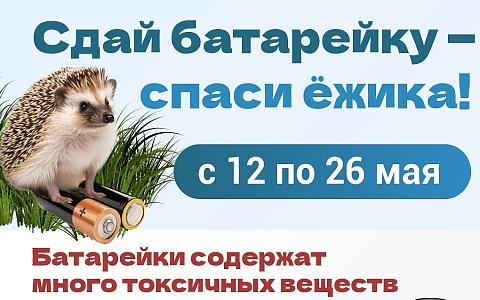 Рязанцам рассказали, куда можно сдать батарейки
