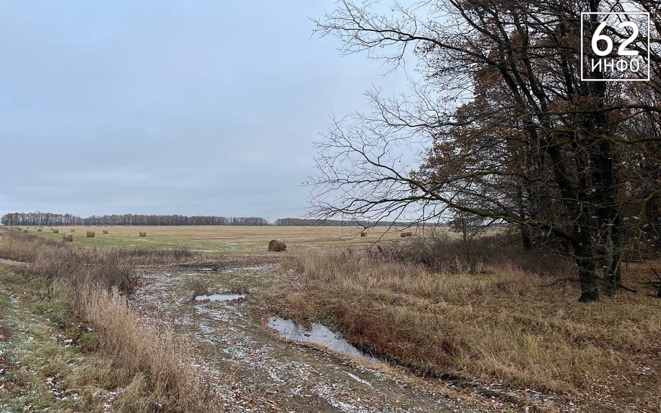 На Рязанщине 26 ноября сохранится желтый уровень опасности из-за погоды - 62ИНФО