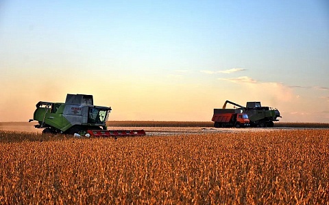 Рязанские аграрии приблизились к рекорду по сбору зерна