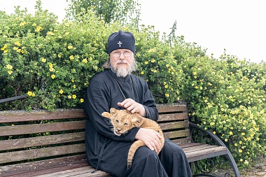 Митрополит Марк познакомился с львенком из Ряжского зоопарка