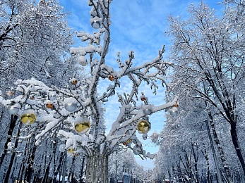 Снег и гирлянды превратили Рязань в новогоднюю открытку