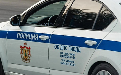 Госавтоинспекция Рязанской области отчиталась о рейдах в выходные 