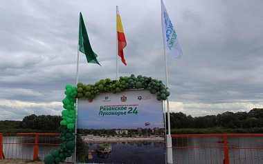 "Лукоморье" на Оке: в Рязани впервые определили чемпионов по сапбордингу