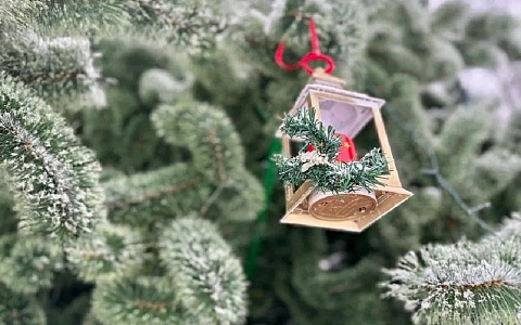 Движение Первых объявило конкурс на лучшую елочную игрушку (0+)