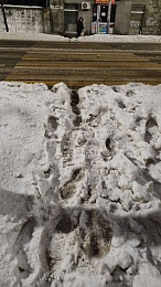 Рязанцы массово жалуются на нечищеные дороги и тротуары