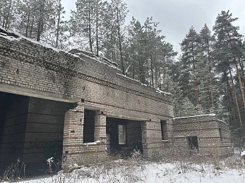 В рязанском лесу сфотографировали заброшки и лестницу в никуда - 62ИНФО В рязанском лесу сфотографировали заброшки и лестницу в никуда