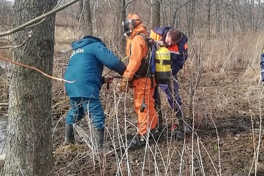 Установлена личность утонувшего мужчины в Спасском районе