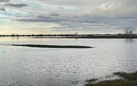 В Рязанской области под водой остаются мосты, дороги и приусадебные участки