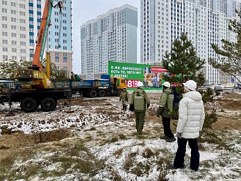 Сотрудники ГК "Зеленый сад" высадили сосны вдоль Муромского шоссе в Рязани