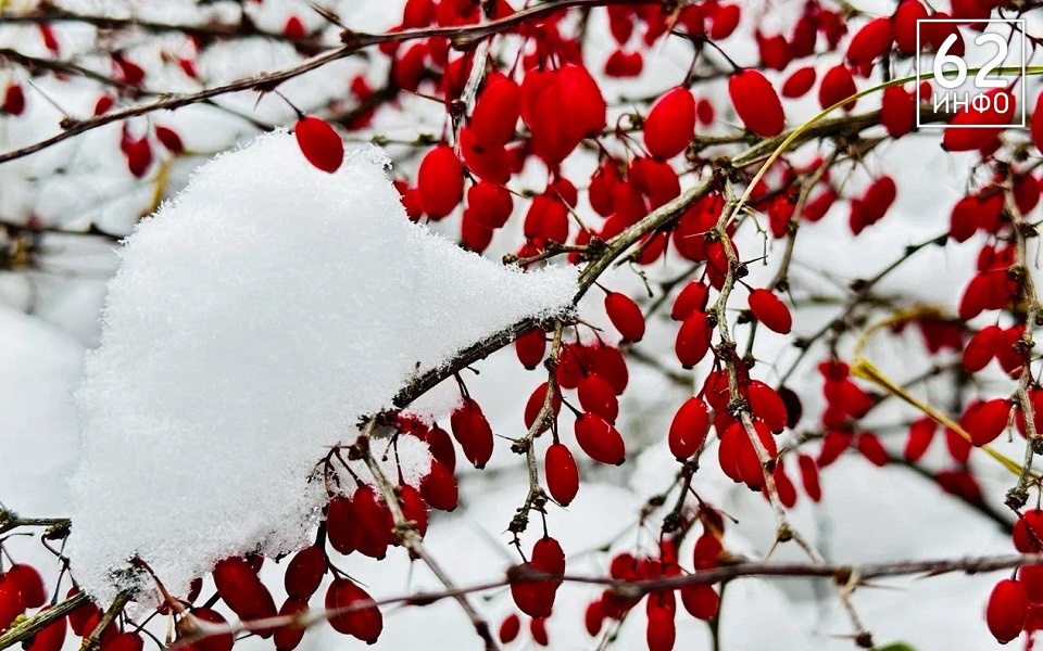 В Рязанской области 26 ноября похолодает - 62ИНФО