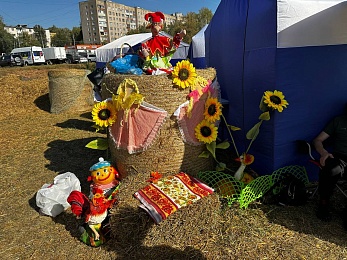 В Рязани провели праздник урожая «Спожинки»