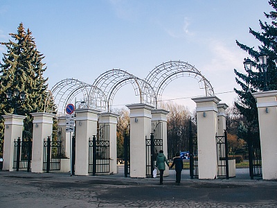 В рязанском ЦПКиО вырубают американский клен