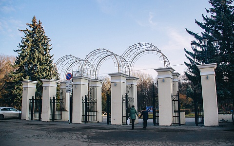 В рязанском ЦПКиО вырубают американский клен