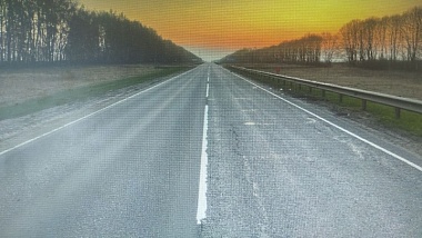 В Шиловском районе водитель "Нивы" погиб из-за столкновения с березой