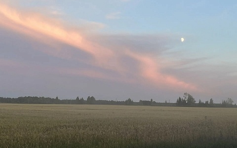Рязанскую область 30 июля ждут туман, гроза и похолодание