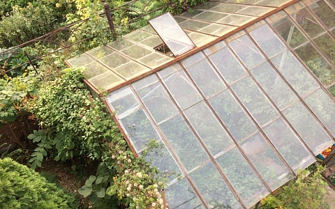 В Рязанской области с продажи сняли «Пухляша», «Блондинчика» и «Тётю Мотю»