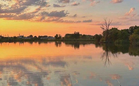Рязанцы пожаловались на доски с гвоздями на пляже в Борках