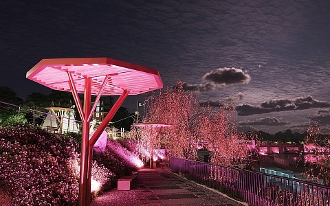 «Зелёный сад - наш дом» предлагает ставку по ипотеке 13,9%