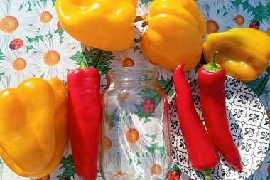 В Путятинском районе местная жительница вырастила гигантские болгарские перцы