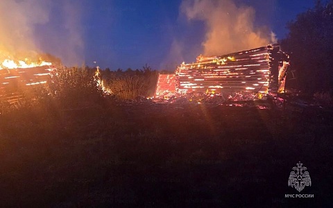 В Сасовском округе огонь уничтожил дачу и хозпостройку