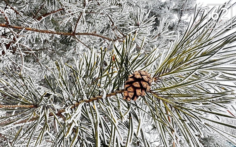 "Ниже нормы": циклон несет на Рязань ледяной воздух - 62ИНФО