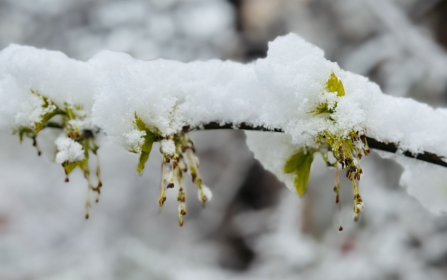 МЧС: Рязанскую область ждет второй удар снежного шквала
