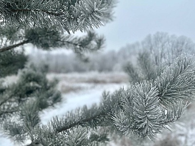 В новогоднюю ночь в Рязанской области похолодает до -16 градусов