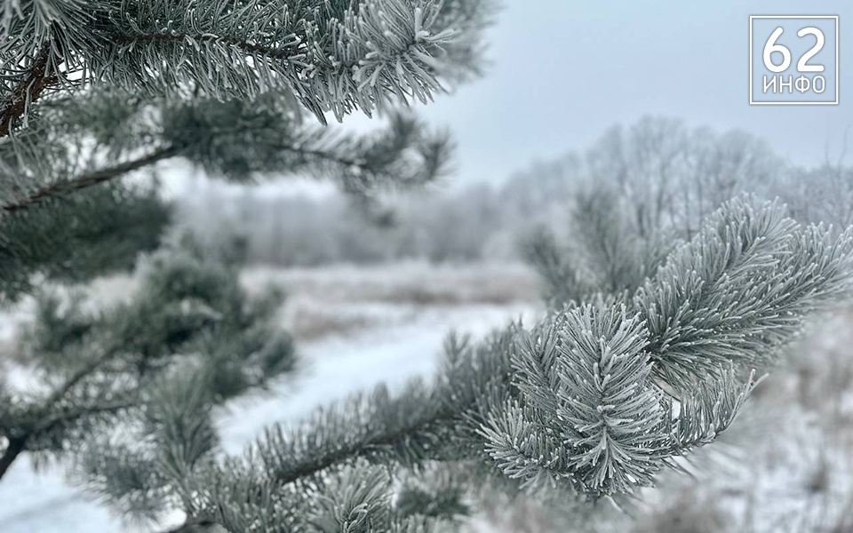 В новогоднюю ночь в Рязанской области похолодает до -16 градусов - 62ИНФО