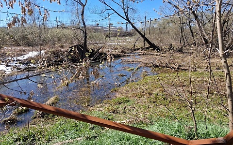 В Рыбновском районе прорвало коллектор, на месте работает МЧС