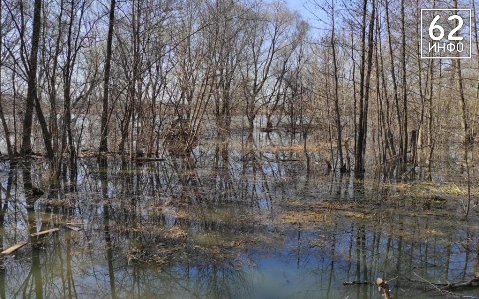 Рязанский минтранс опубликовал список закрытых из-за половодья мостов в регионе - 62ИНФО