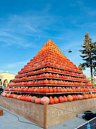 В Рязани проходит фестиваль урожая