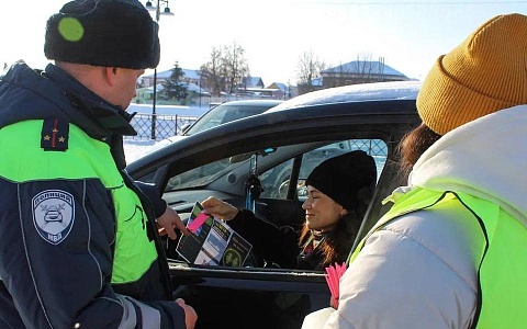 Рязанская Госавтоинспекция провела профилактическую акцию «Засветись!» 
