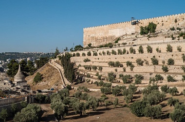 Рязанская епархия показала фотографии митрополита Марка - 62ИНФО Рязанская епархия показала фотографии митрополита Марка