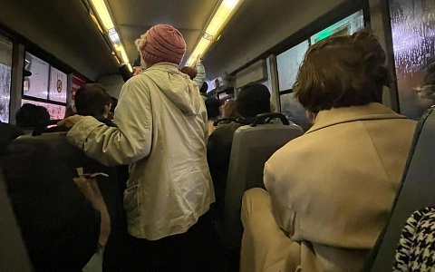 Водителей в Рязани обязали объявлять остановки из-за обледеневших окон