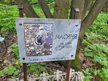 В Рязани организовали стихийное кладбище домашних животных