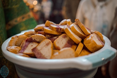 Вербное воскресенье 2025: фоторепортаж из Вознесенского храма