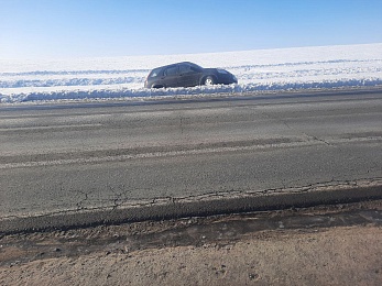 Под Новомичуринском Honda вылетела в кювет
