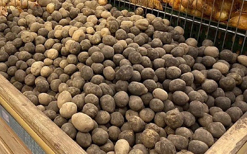 В Касимове пройдет конкурс картошки