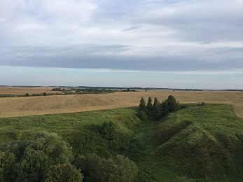 Фоторепортаж: пилоты «Неба России» пролетели на воздушных шарах над Рязанской областью - 62ИНФО Фоторепортаж: пилоты «Неба России» пролетели на воздушных шарах над Рязанской областью