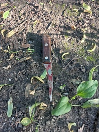 В Рязани мужчина пытался зарезать собаку кухонным ножом - 62ИНФО В Рязани мужчина пытался зарезать собаку кухонным ножом