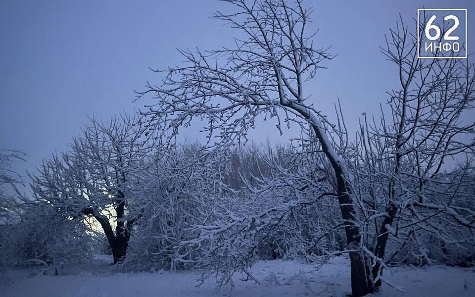 МЧС: в Рязанской области ночью 17 января будет -27°С - 62ИНФО