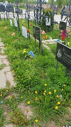 В Рязани волонтеры убрались на детских могилах Воскресенского кладбища